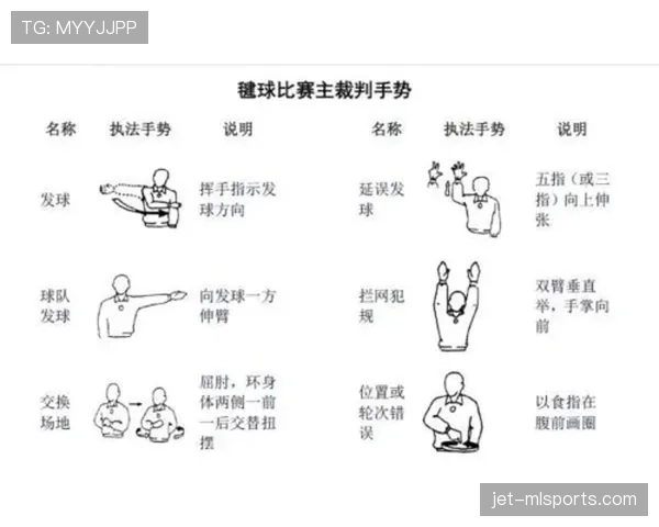 裁判判罚手势全解析：这些动作到底代表什么规则？